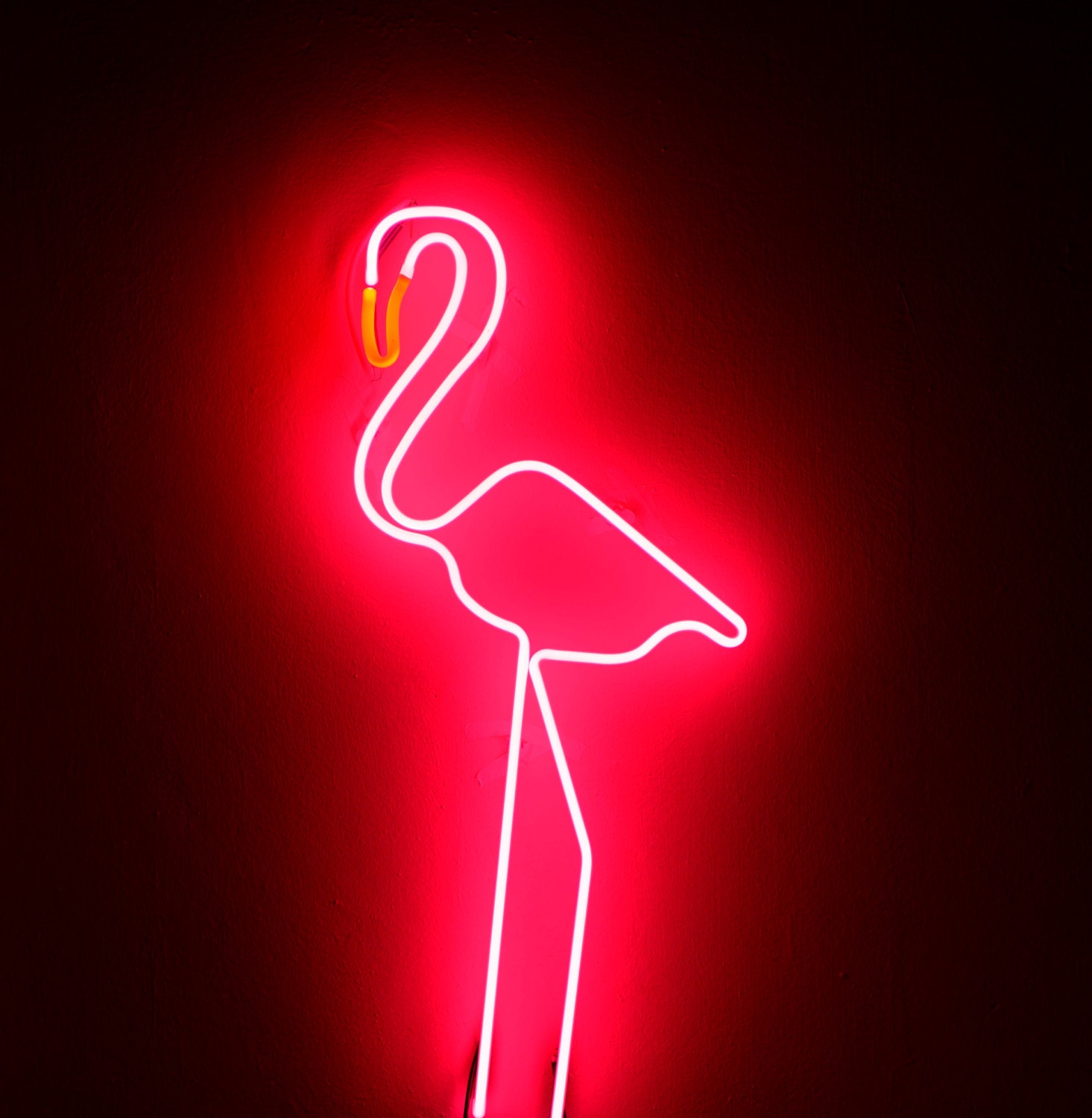 Neon Sign FLAMINGO