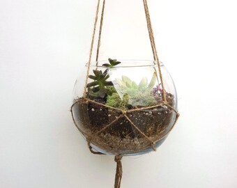 Hanging Terrarium gift, diy Terrarium, Succulent Terrarium, DIY, Glass Terrarium, Succulent, Succulent Garden, birthday gift