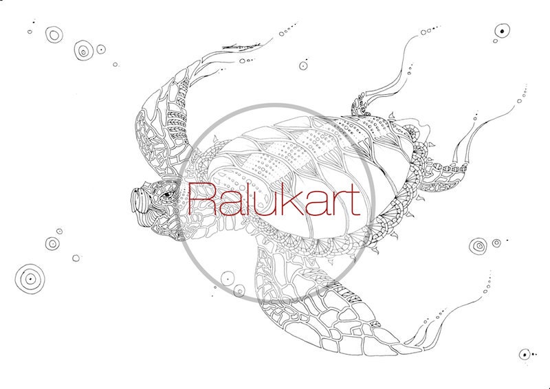 adult colouring page sea turtle