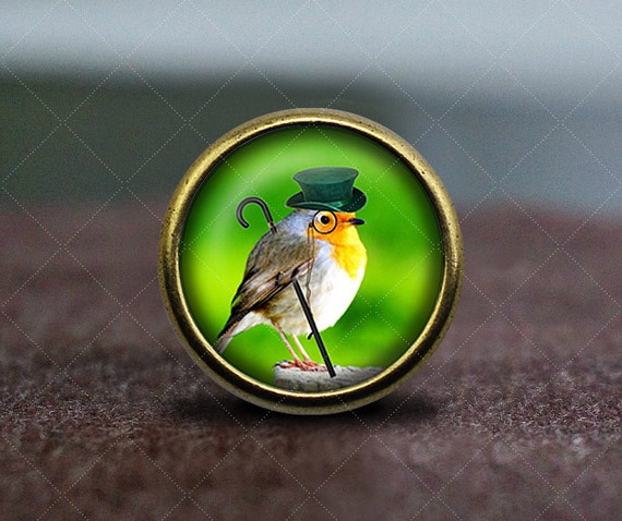 Steampunk Bird / Vintage Bronze Dresser knobs cabinet Dresser Knobs pull / Cabinet Knobs / Furniture Knobs by GibbsHouse steampunk buy now online