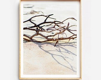 Beach Photography Print - Natural Objects II - Photographic Art, Beach Art Print, Photographic Print, Beach Art Print, Photo Print