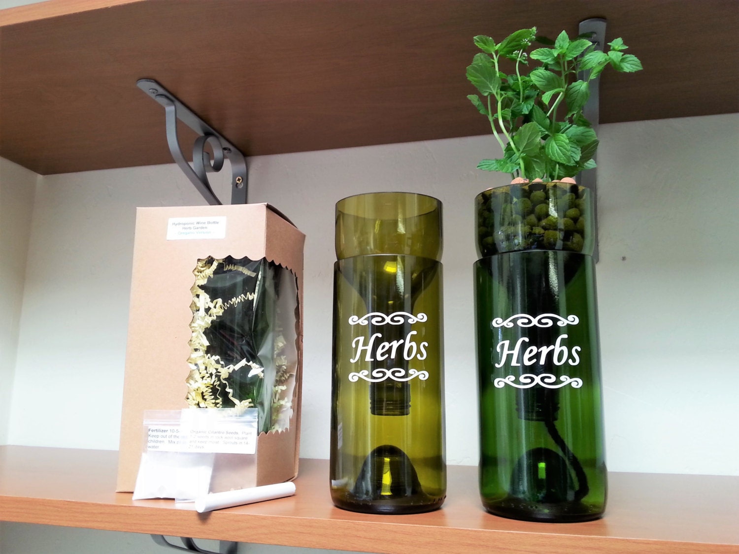Self Watering Hydroponic Garden Gift / Wine Bottle Indoor Herb