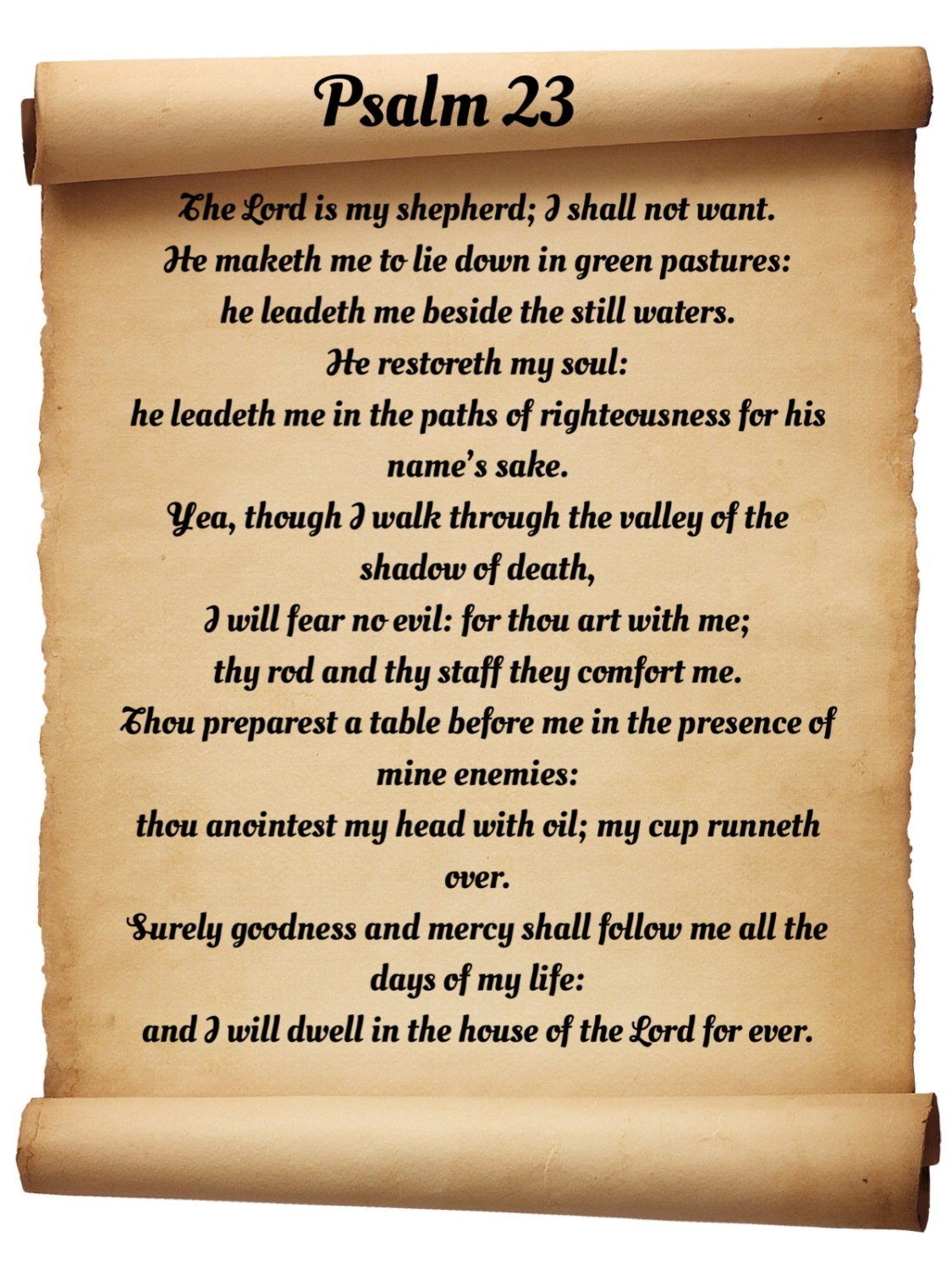 Psalm 23. The Lord is my shepherd. Christian Bible POSTER