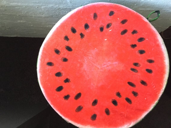 watermelon cushion