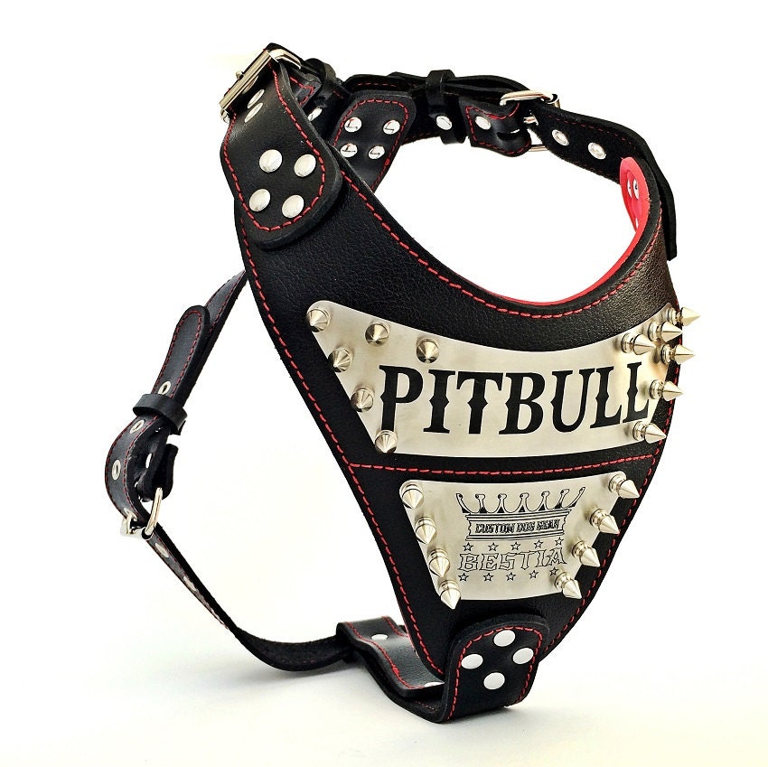 Bestia™ Metal PERSONALIZED leather dog harness.