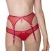 red dobby mesh knicker 75