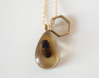 Bee Necklace - Real Insect - Honeybee Jewelry - Save the Bees - Specimen - Natural History - Bee Jewelry - Biology Jewelry - Honeybee