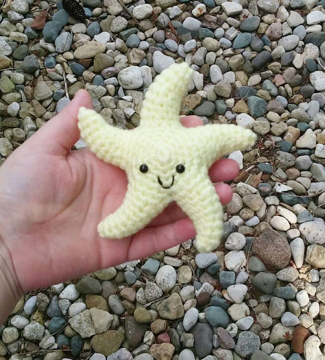 fluffy starfish teddy