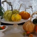6 Silk Velvet Pumpkins with real Pumpkins Stems and 9 Silk Velvet Acorns with real Acorn Caps - #299