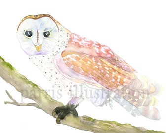 Barn Owl No.1, Archival Print of Original Watercolor, you choose size