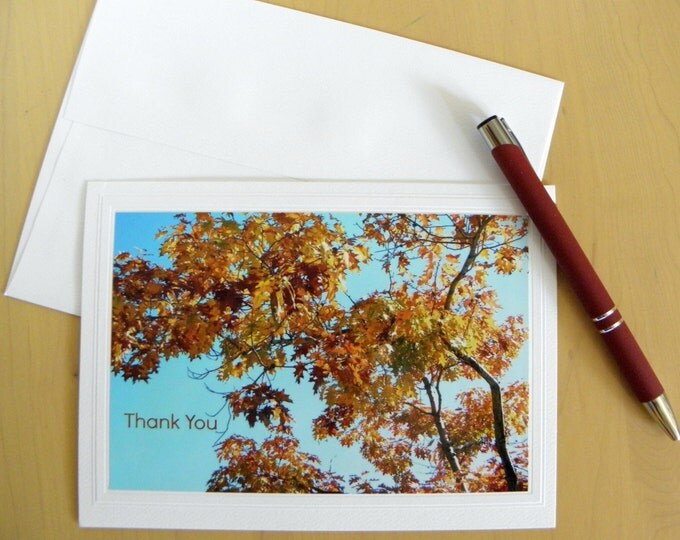 THANK YOU CARD created by Pam Ponsart of Pam's Fab Photos from her photography featuring the colorful leaves of an Acorn Tree