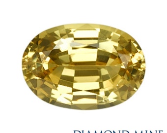 1.63 Carat Yellow Sapphire, Oval cut Sapphire, Loose Sapphire Gemstone, Yellow Gemstone, Non Heated Real Sapphire