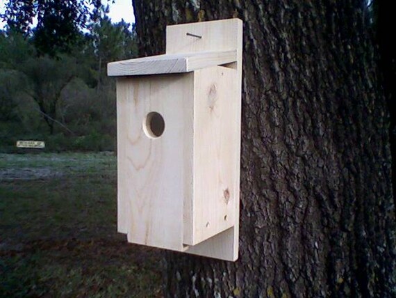 eastern bluebird house with free predator guard eastern bluebird house with free predator guard