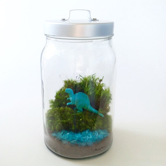 Dinosaur Terrarium Kit with Jar by TierraSolStudio on Etsy