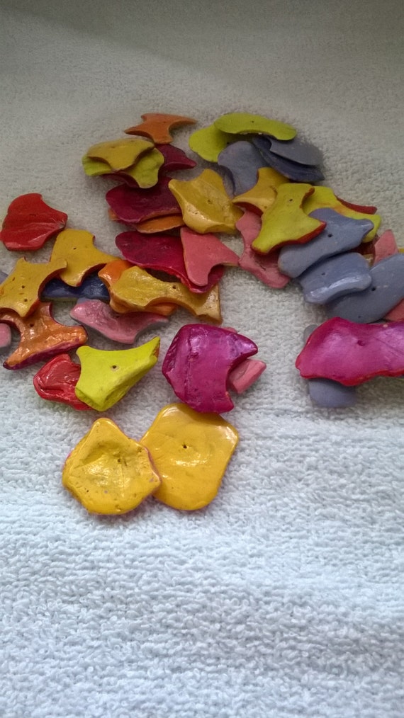 Multi Colored Painted Wood Chips