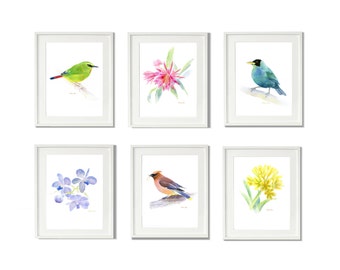 Bird Painting Print, Set of 6 Print, Watercolor Painting Print, Flower Painting Set Art