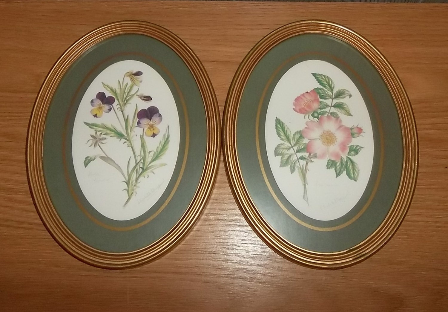 Vintage Floral Prints Gold Oval Frames Elizabeth Sheppard Avon