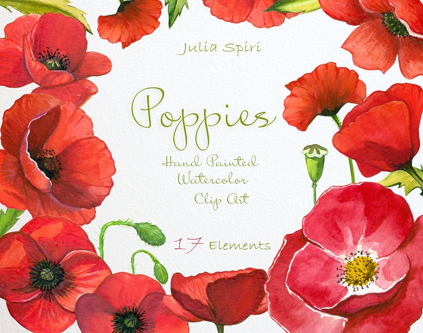 Download Watercolor Poppies Flowers Clipart Poppy Hand Painted