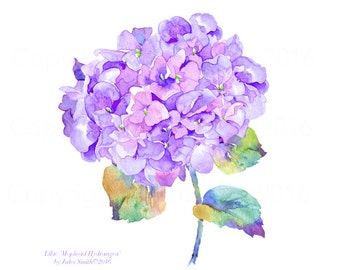 Hydrangea Wall Art hydrangea wall art | etsy Hydrangea Wall Art hydrangea wall art | etsy