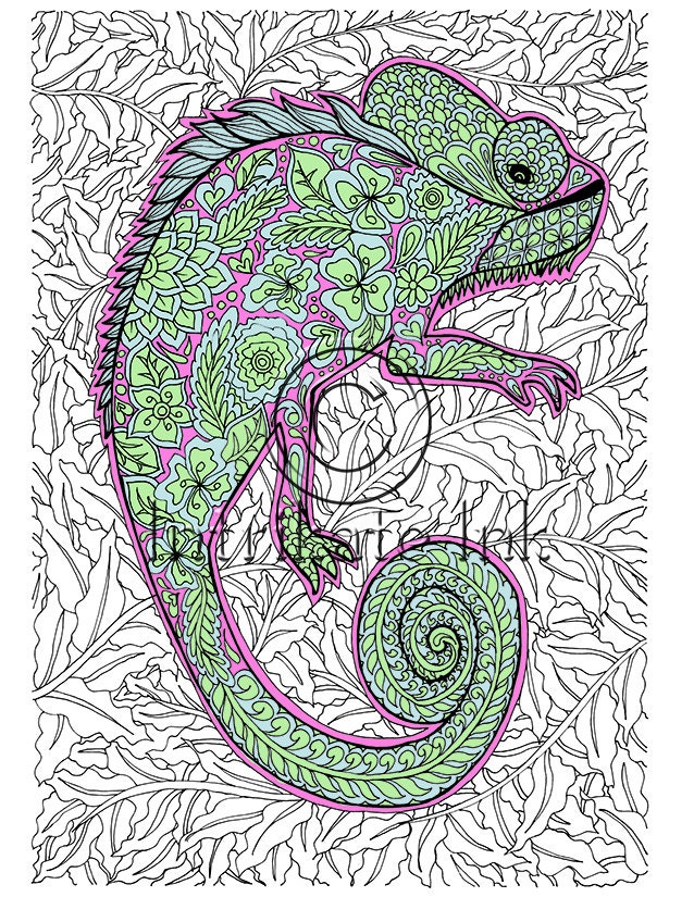 Chameleon Coloring Page Animal Coloring Wild Detailed and