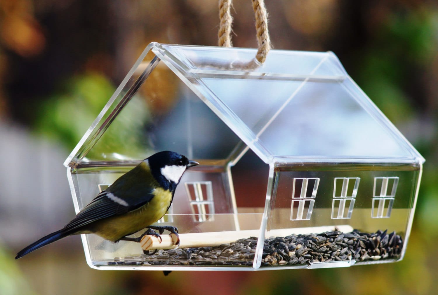 Steel Bird Feeder Patio Open Seed Clear Outdoor Garden