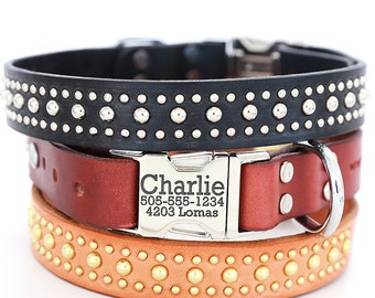 Personalized Leather Dog Collar -- The Bart