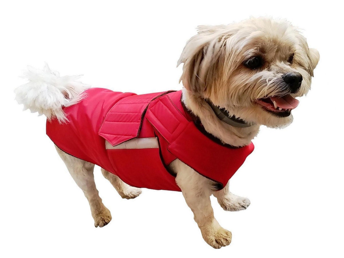 Shih Tzu Winter Dog Coat with underbelly protection Dog