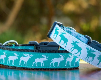 Moose Dog Collar / Turquoise Dog Collar / XS-XL / Dog Collars Australia