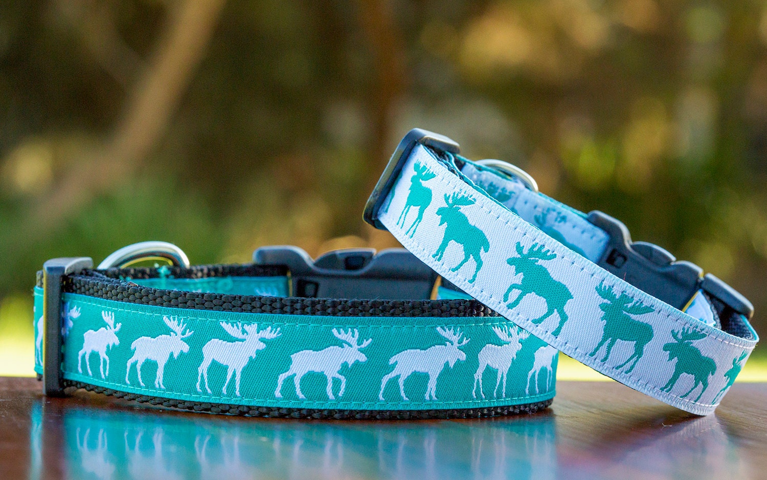 Moose Dog Collar / Turquoise Dog Collar / XSXL / Dog Collars
