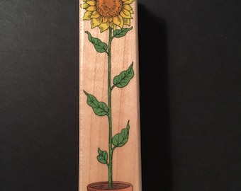 Hero Art TALL Sunflower in Pot F133 Rubber Wood Mounted Stamp Gently Used Card Scrapbooking