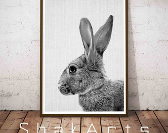 Large Nursery Poster, Boys Nursery Decor, Rabbit Print Decor, Nursery Wallpaper, Print Nursery Rabbit, Nursery Set Print, Nursery Décor