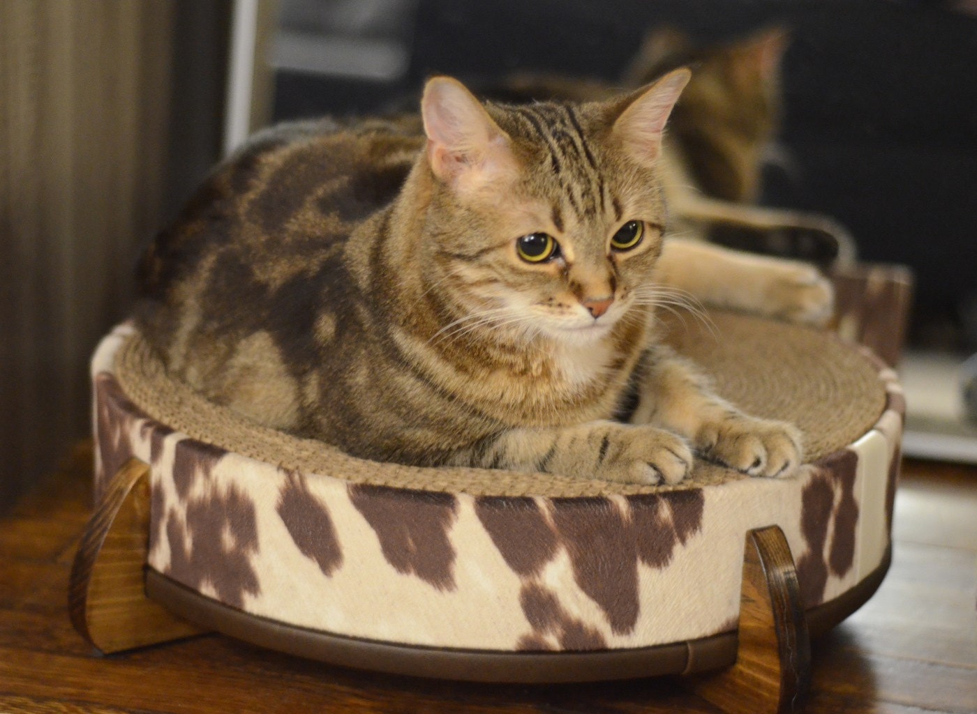 round cardboard cat scratcher