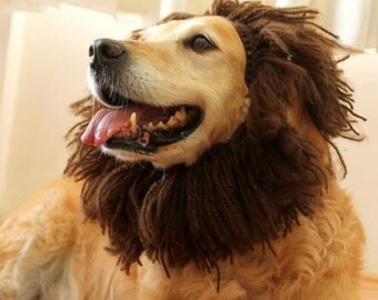 Dog Hat, Lion Hat for Dogs, Dog Lion Hat, Dog Costume, Lion Costume for Dogs, Dog Lion Costume, Lion Mane for Dogs, Large Breed Dog Costume