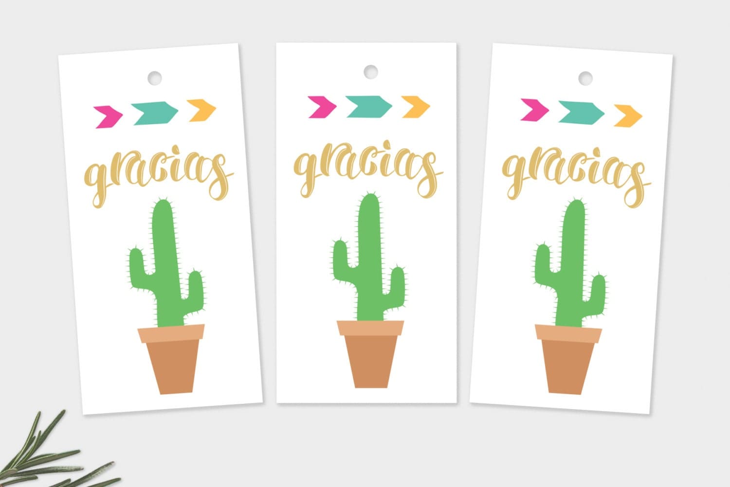 Fiesta Gift & Favor Tags Gracias Cactus Tags Thank You Tags