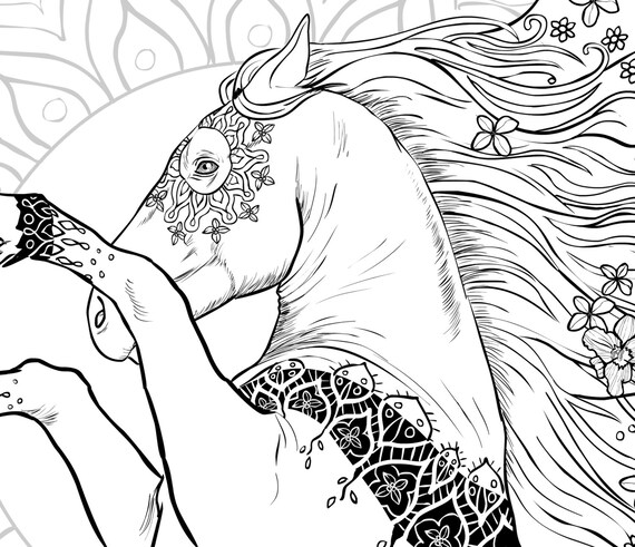 Adult Coloring Book Horses. 43 Beautifully Hand Drawn Coloring
