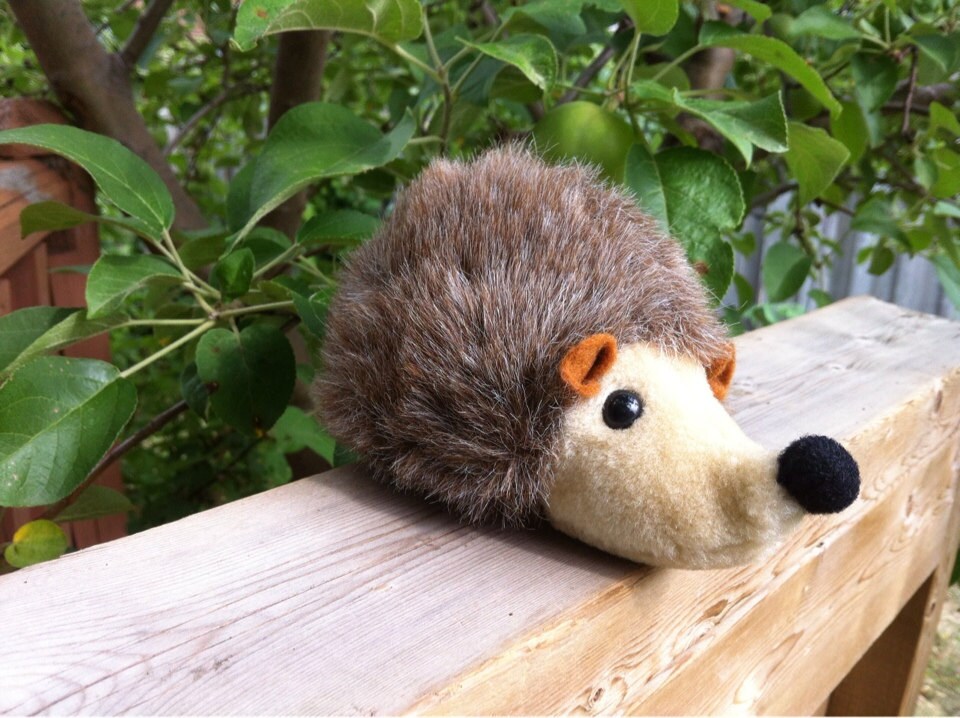 hedgehog stuffy