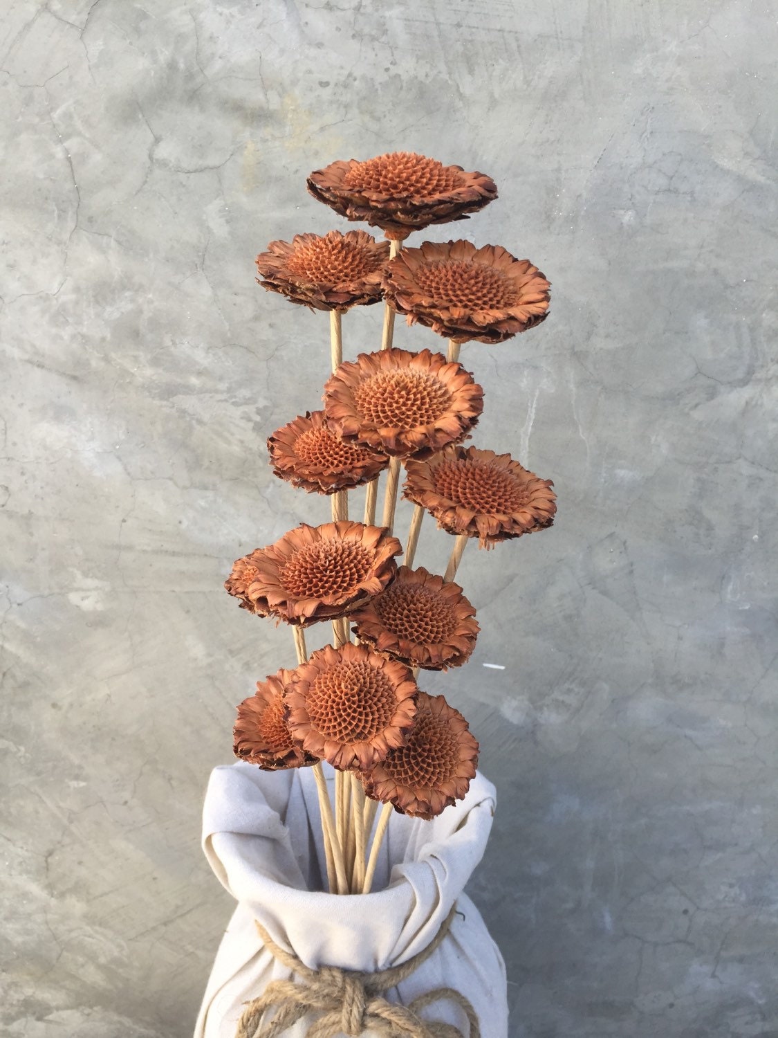 Dried Protea Flower Dried Flowers Wedding flowers Home