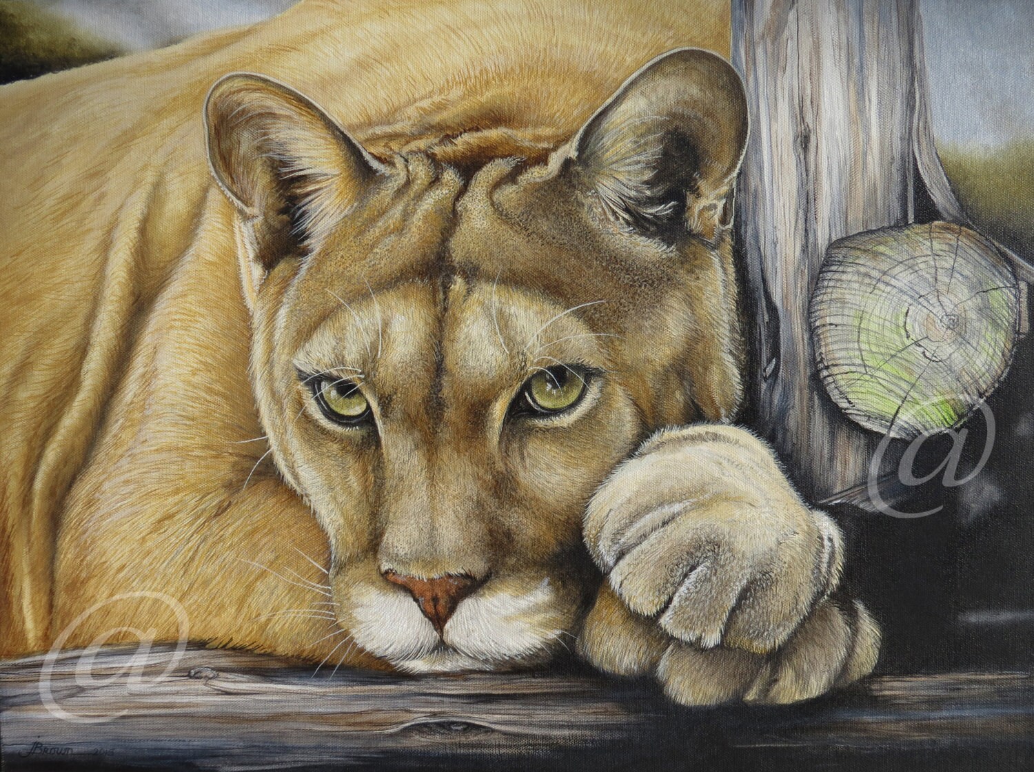 puma art