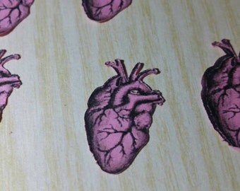 valentines day decor, anatomical heart conftti, anatomical heart decorations, die cut anatomical heart, anatomy print, anatomy die cut