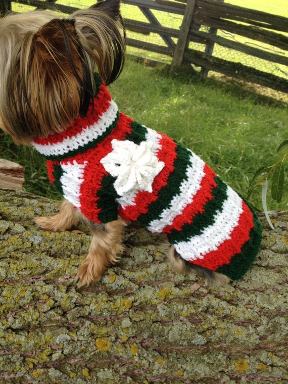 Crochet Christmas Small Dog Sweater Extra Small