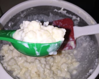 Organic Raw Milk Kefir Grains