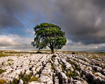 Large wall art | Etsy UK