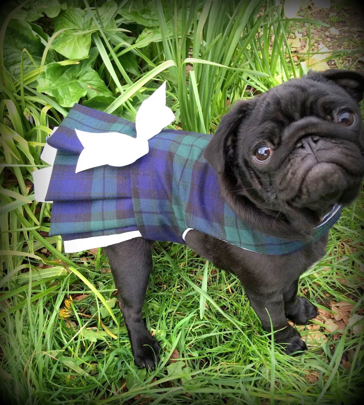 Tartan Style Stockbridge Dog Dress Handmade In UK