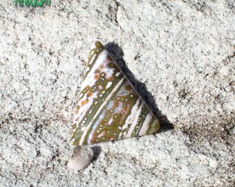 Ocean Jasper/Cabochon/Cabochons/Ocean Jasper/Jasper Cabochon/Ocean Jasper Cab/Gemstone/Jasper/Cab/Gemstone Cabochon/Orbicular Jasper/Green