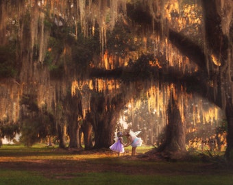 Under the Oaks DIGITAL PHOTOGRAPHY BACKGROUND