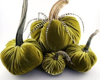 Golden Green Velvet PUMPKINS with Real Pumpkin Stems Fall Home Decor Thanksgiving table Centerpiece Hostess Gift Mom Gift Autumn Home Decor