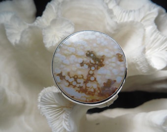 Large Ocean Jasper Ring Size 9