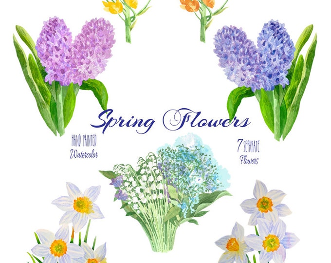 Spring flowers. Watercolor clip art, clipart, hyacinth, narcissus, lily of the valley, flower, bouquet, spring, garden, Mothers day,