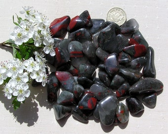 10 Seftonite (Vulcan Jasper) Crystal Tumblestones, Bloodstone, Helitrope, Crystal Collection, Meditation Stone, Green Crystals, Libra
