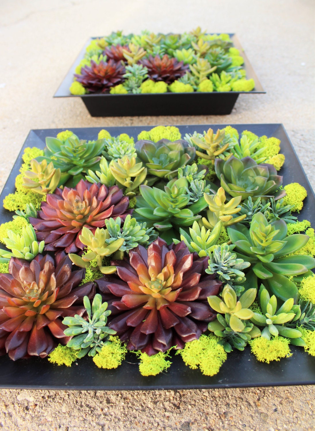 SALE 1 pc Artificial Succulent in a Black Hanging Decorative